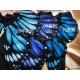 Yolanda Fleurs Avec Isabella Butterfly Collar(Reservation/15 Colours/Full Payment Without Shipping)